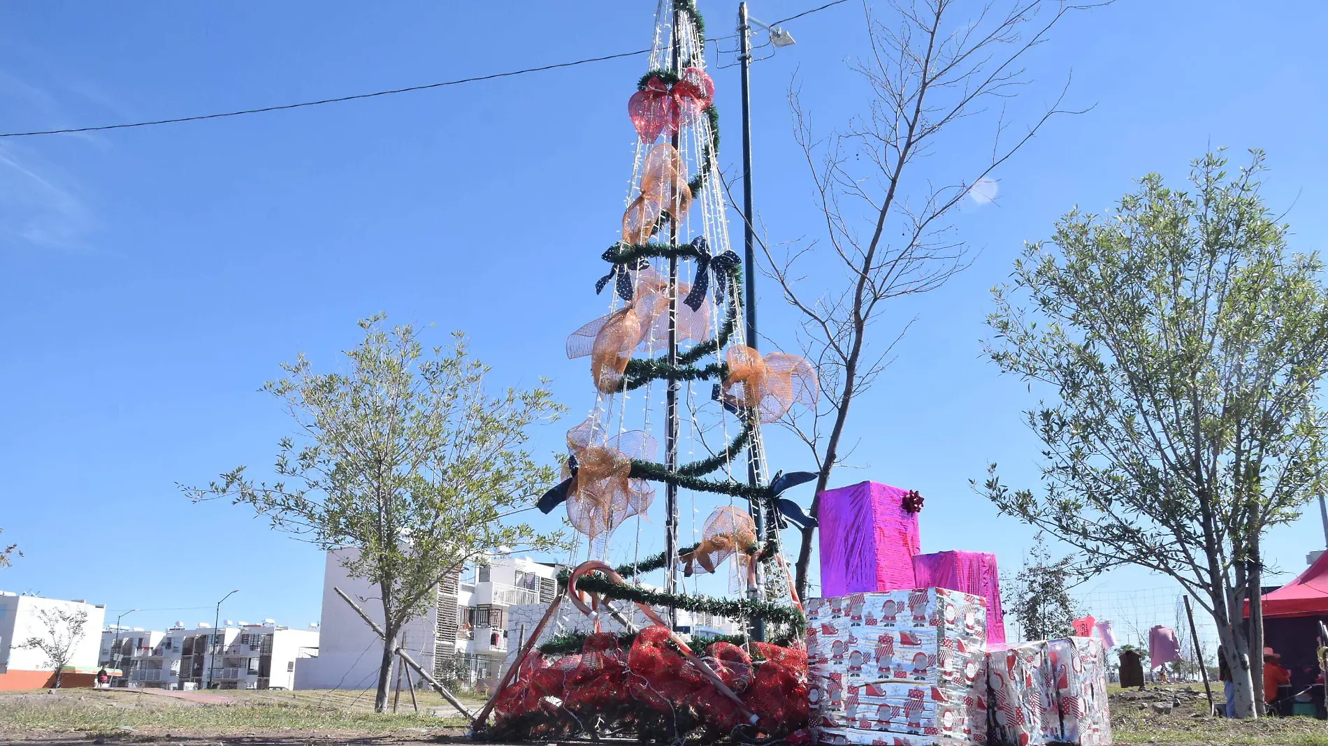 F CARMONA ARBOL BRISAS (3)